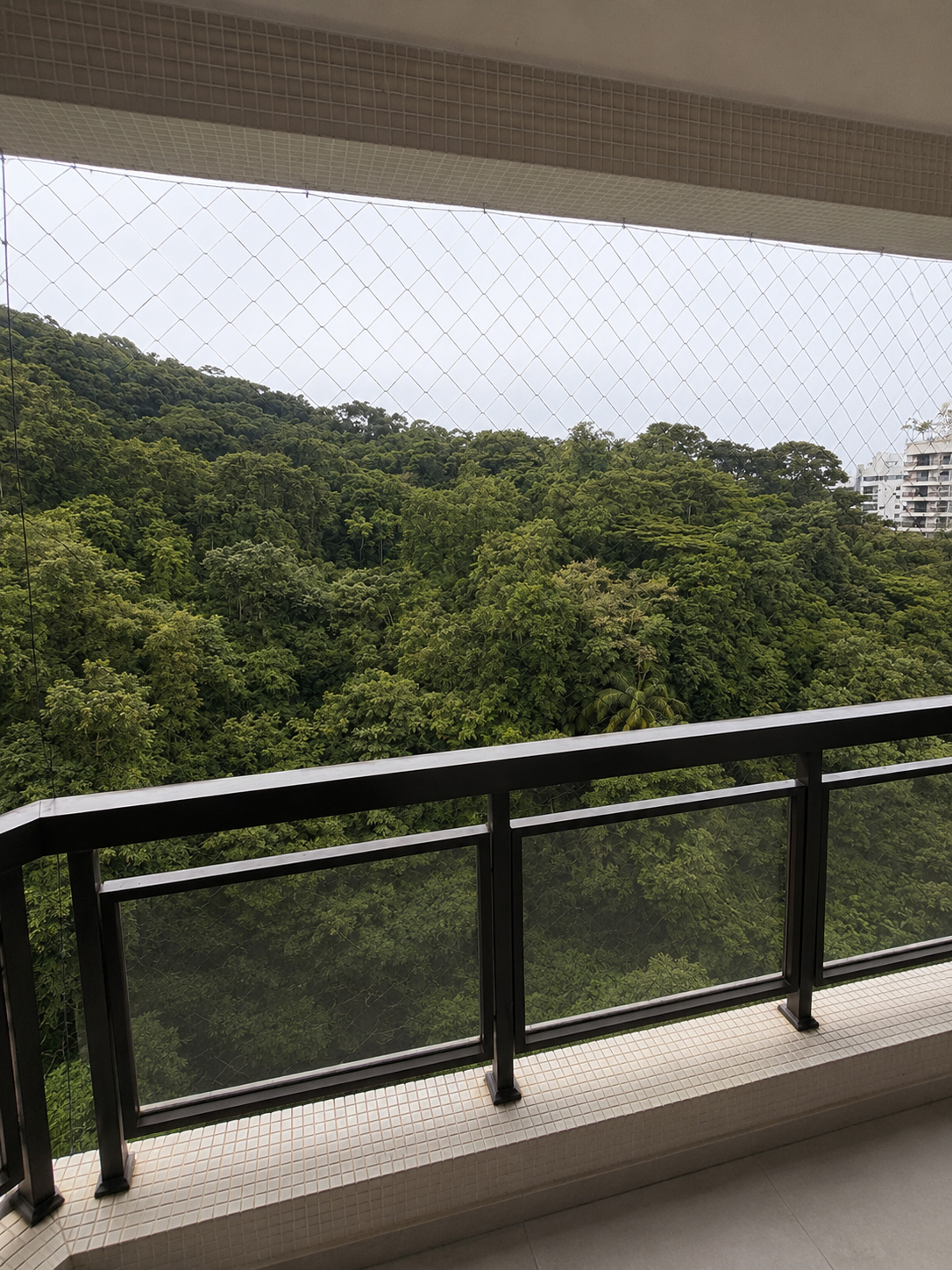 Vista permanente para a mata a partir da varanda da sala
